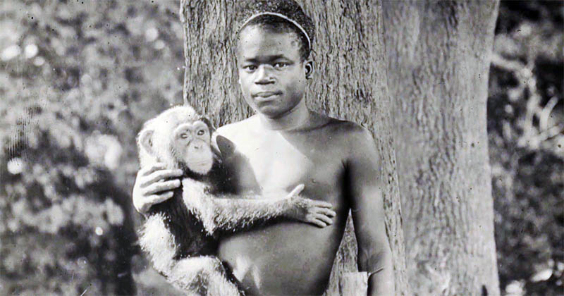 humanzoos